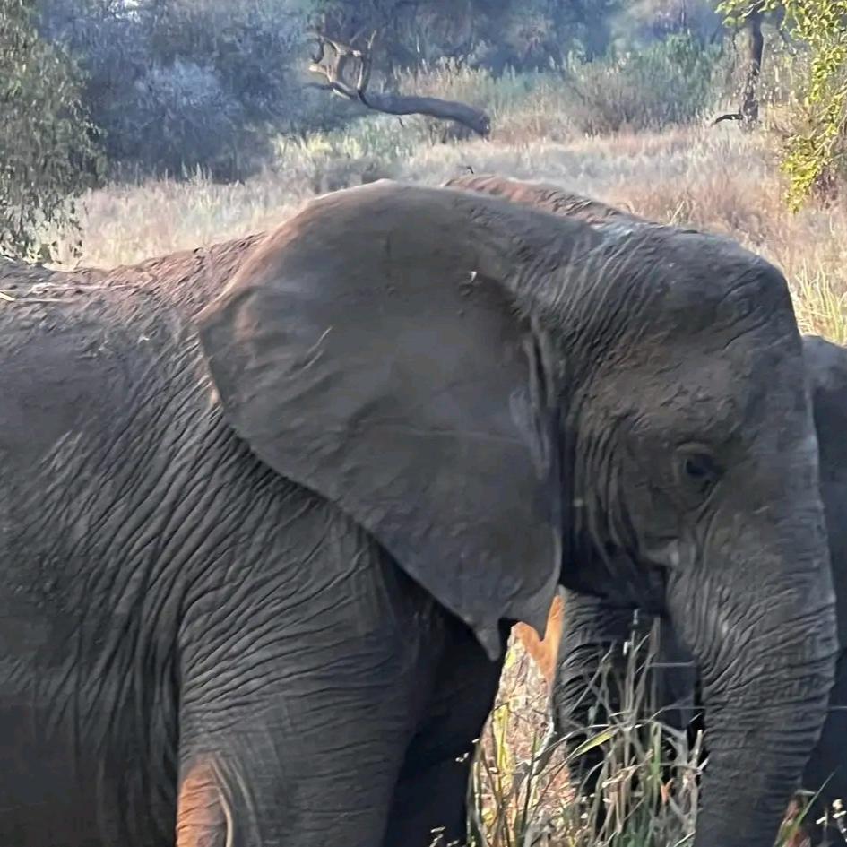 3Days Lake Mburo National park Safari