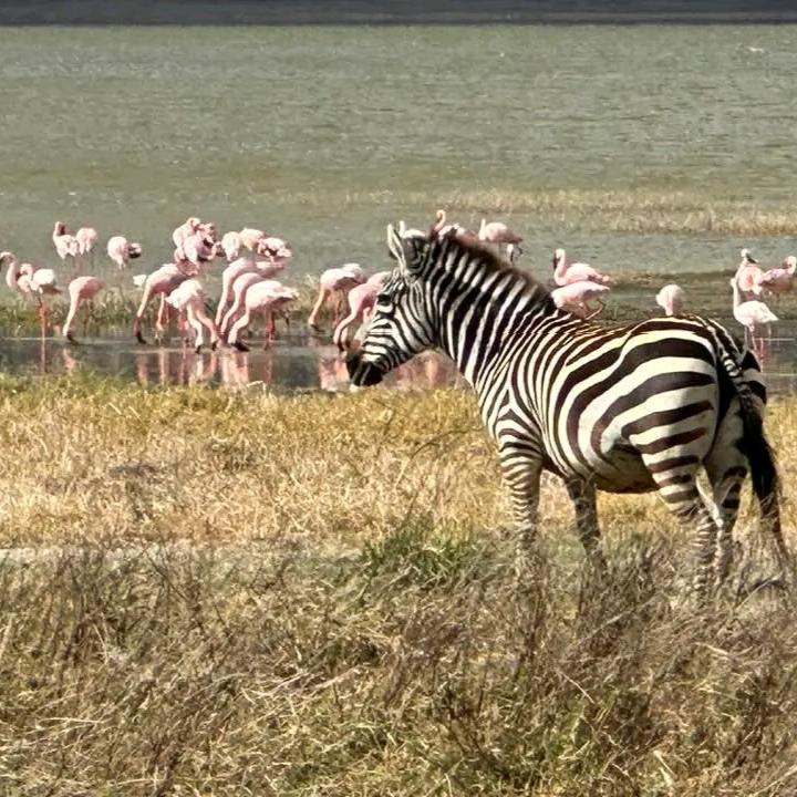 3 days Ngorongoro Tour