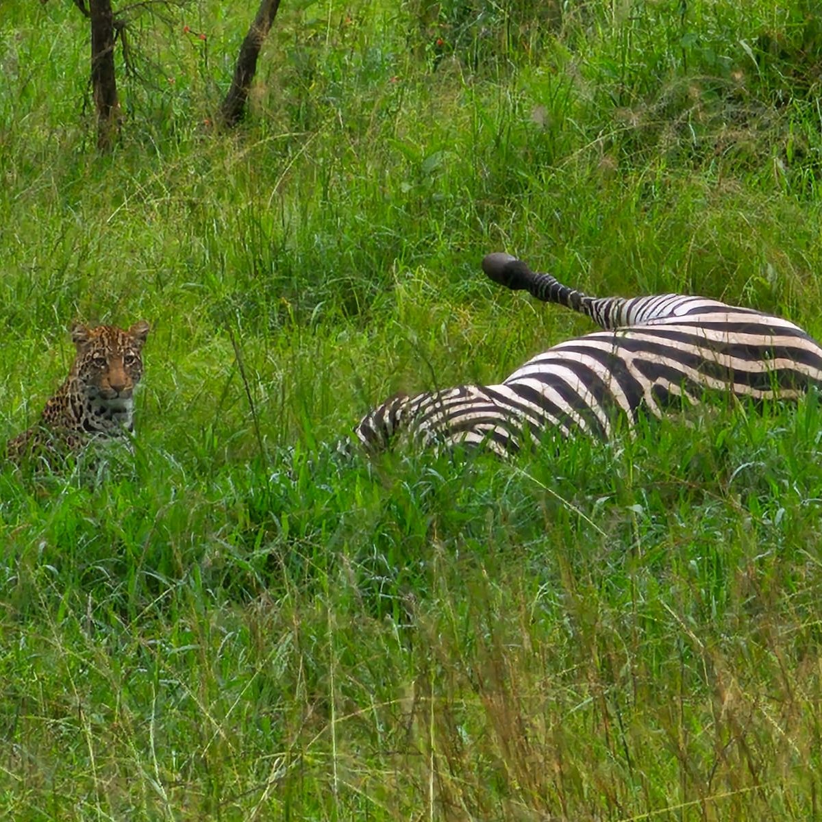 1 DAY LAKE MBURO NATIONAL PARK-Safari