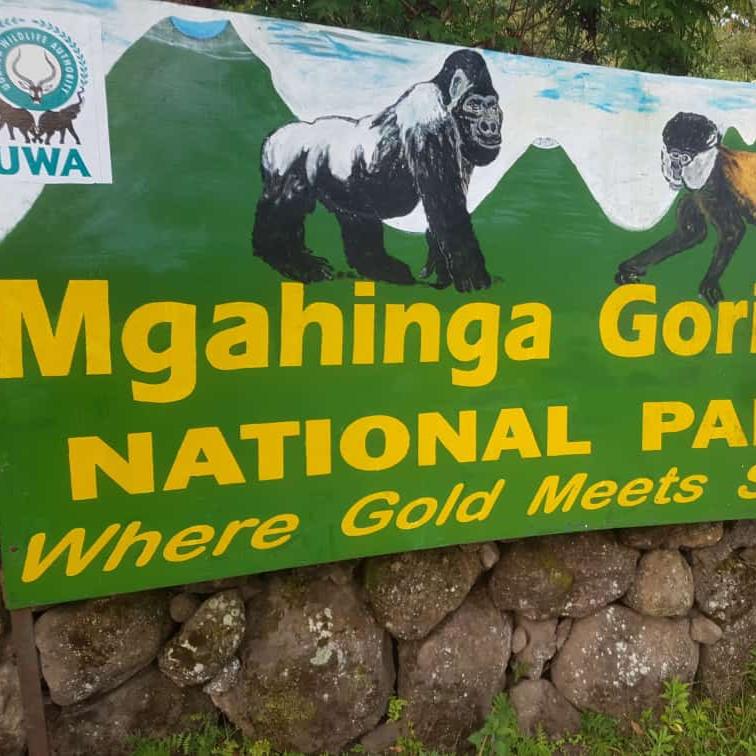 4 Days Mgahinga Gorilla and Lake Mburo National Park Safari