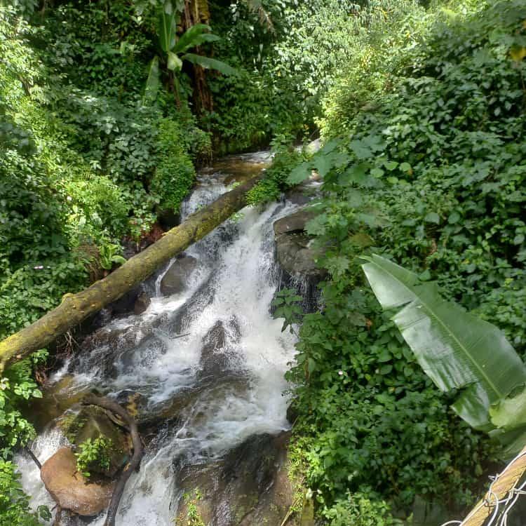 Aventura de 4 días en la cultura de Buganda y la ciudad de Jinja.