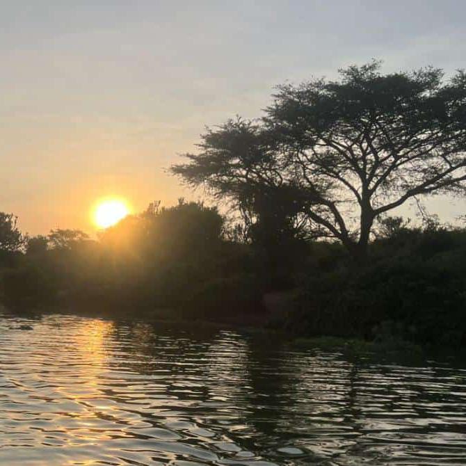 4-tägige Gorilla-Safari: Bwindi Impenetrable National Park und Lake Bunyonyi