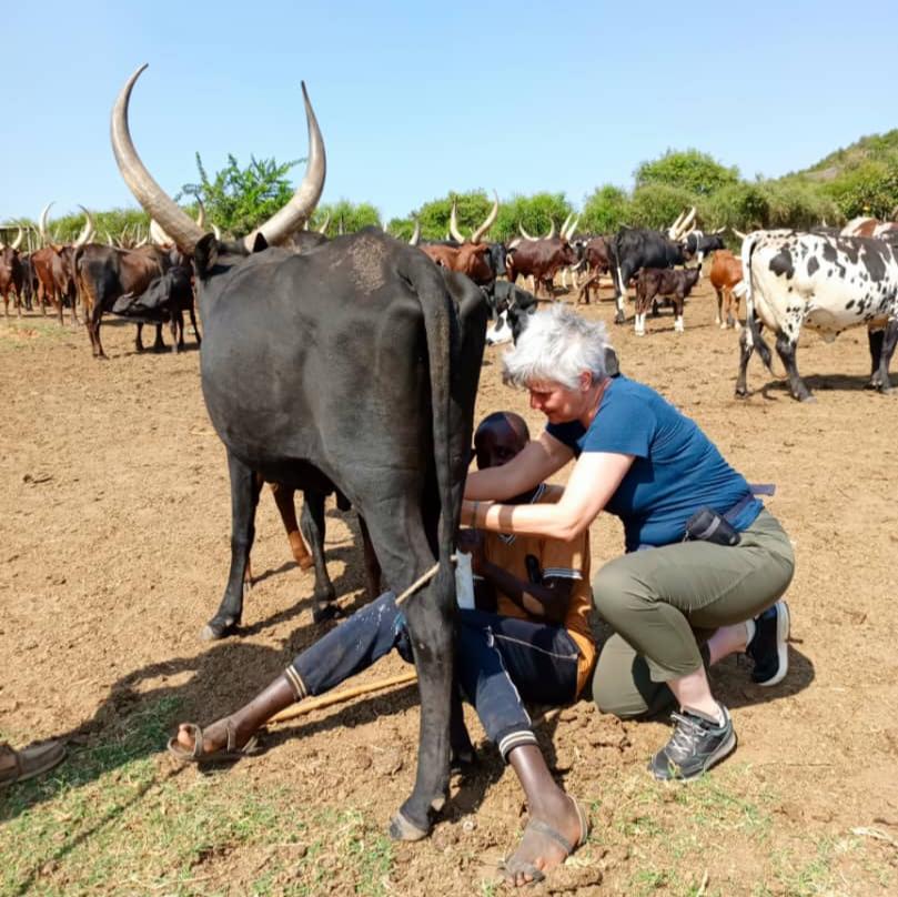 Safari de aventura de 8 días en el norte de Uganda. 