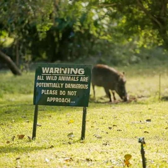 Aventura de 4 días en la cultura de Buganda y la ciudad de Jinja.