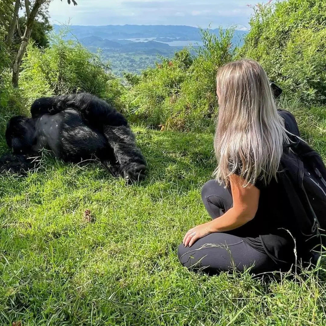 4-tägige Gorilla-Safari: Bwindi Impenetrable National Park und Lake Bunyonyi