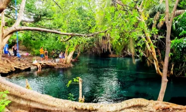 3 Days best of Tanzania Discovery