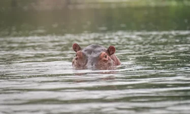 Uganda Wildlife and Cultural1