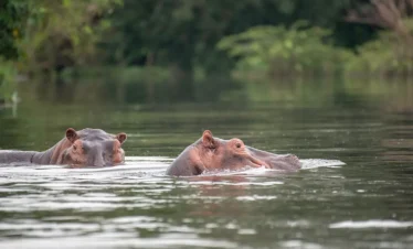 Uganda Wildlife and Cultural