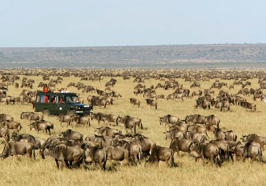 Masai Mara Great Migration Tour and Culture